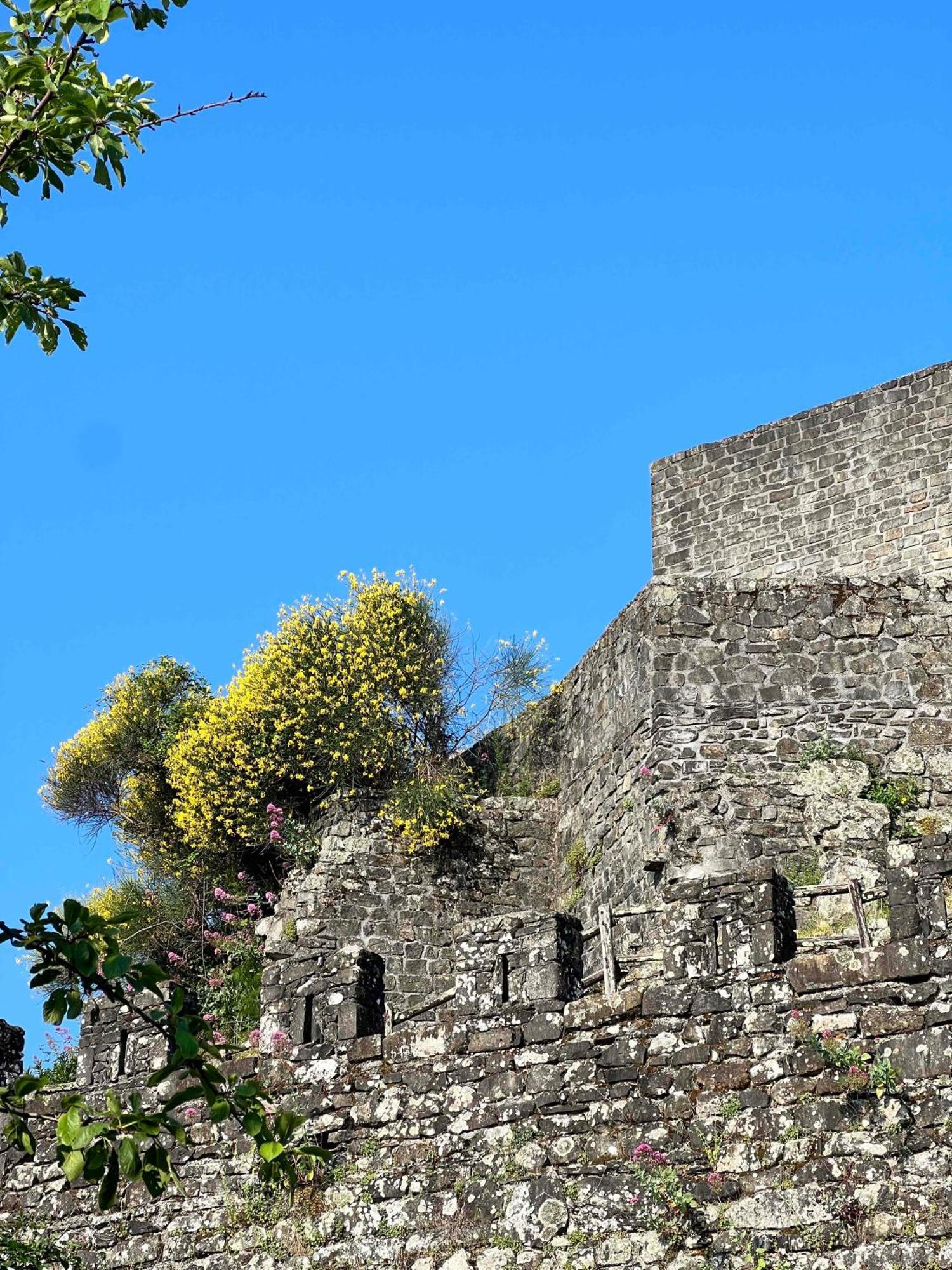 La Finestra Di Dante Mulazzo Exterior foto